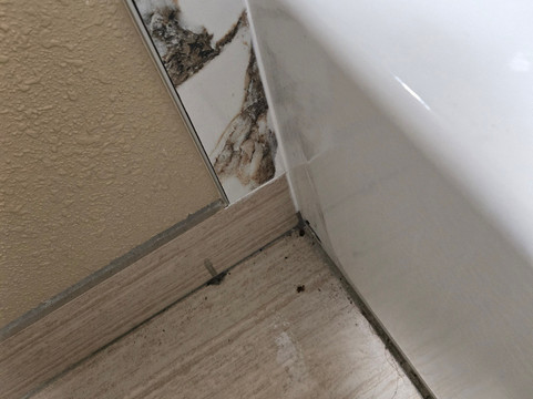 帕迪尤卡I-24 4号出口温德姆速8酒店主图