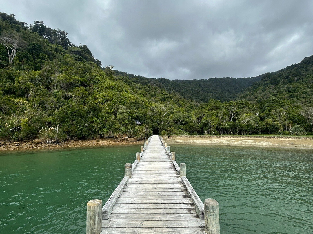 Marlborough Sounds Adventure Company - Day Tours-皮克顿必去景点