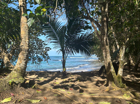 Cahuita Nature Walk-卡维塔必去景点