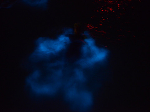 Sweet Spot Watersports-大开曼岛必去景点