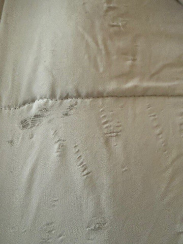 辛辛那提东北布鲁艾施希尔顿安泊套房酒店主图