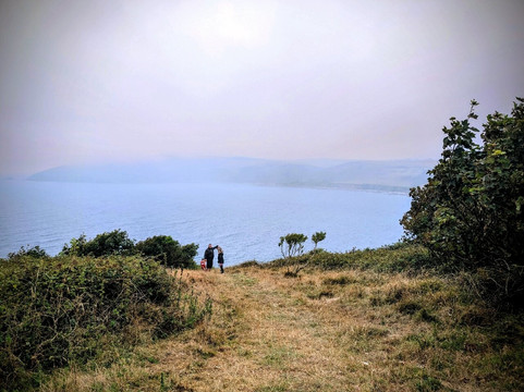 Looe Island-卢城必去景点
