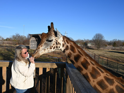 Wild Animal Safari-Strafford必去景点