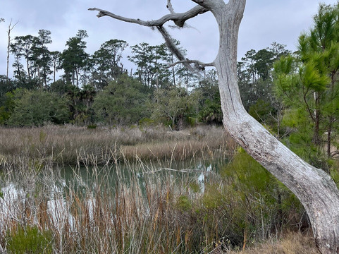 Skidaway Island State Park-萨凡纳必去景点