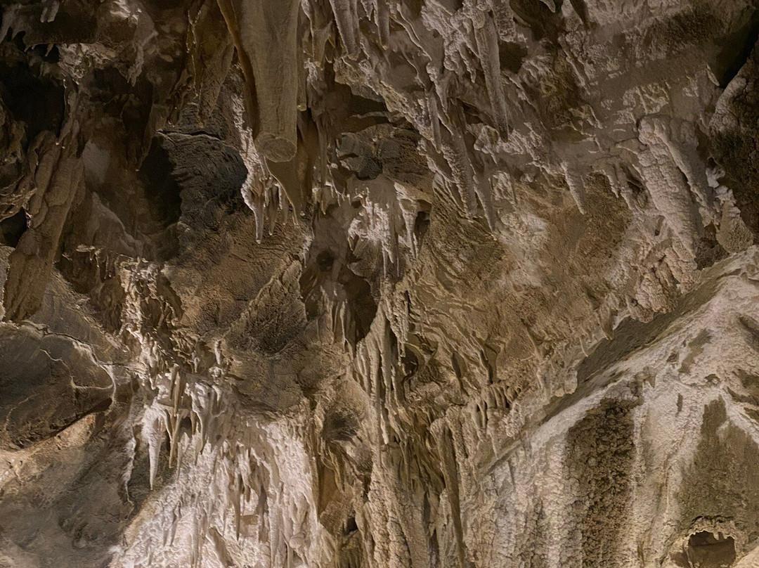 Ngarua Caves-莫图伊卡必去景点