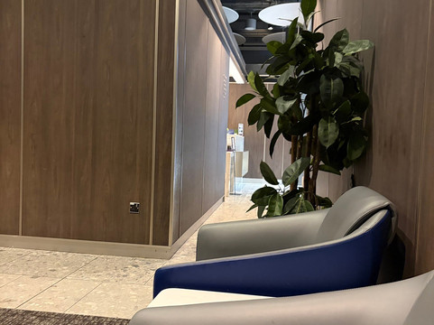 Plaza Premium Lounge Heathrow T5 Departures-伦敦必去景点