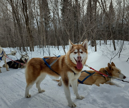 Kanatha-Aki Nature Activity Center-Val-des-Lacs必去景点