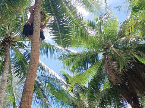 Koka Lagoon Cruises-穆里必去景点