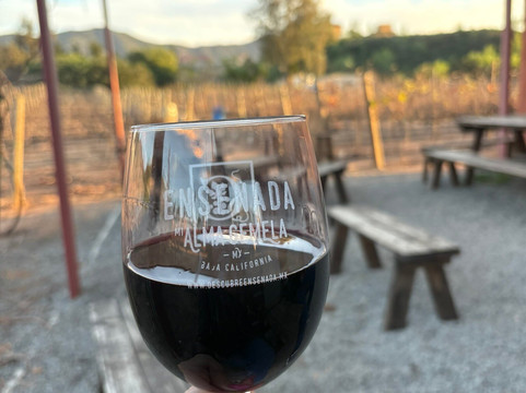 Atp Vinos y Familia-恩塞纳达必去景点