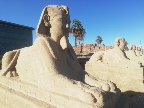Avenue of Sphinxes-卢克索必去景点