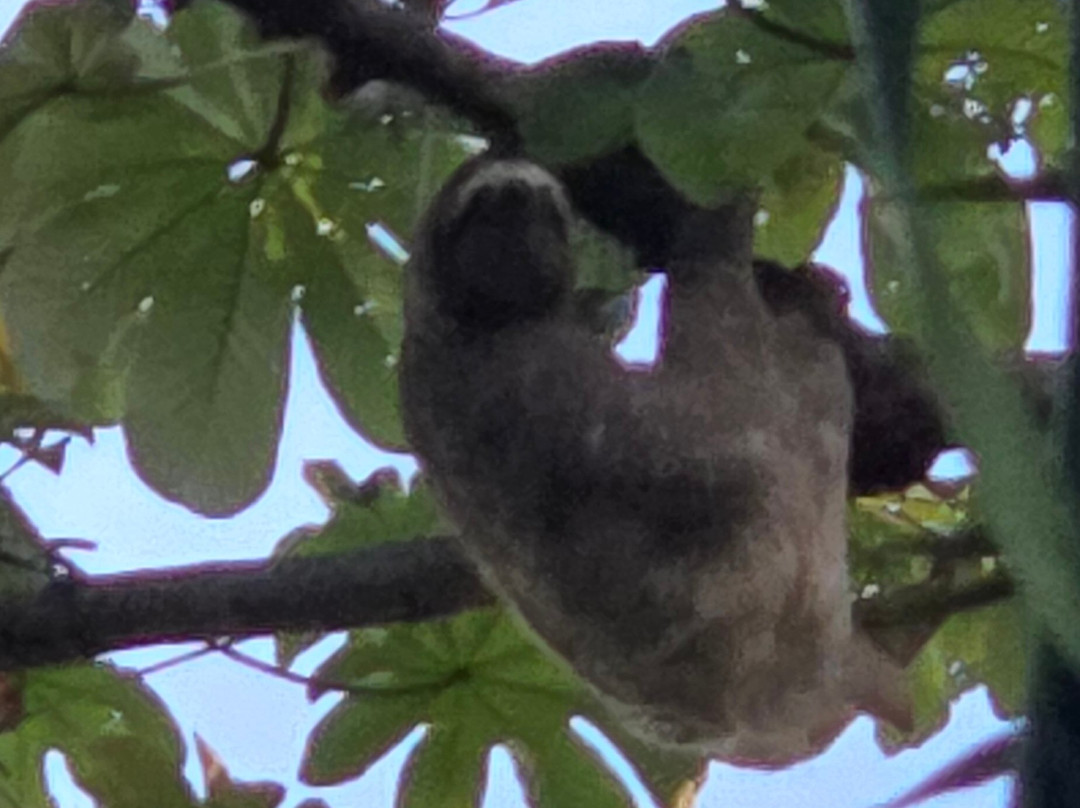 Buddha Brothers Vacation Planning-哥斯达黎加安东尼奥国家公园必去景点