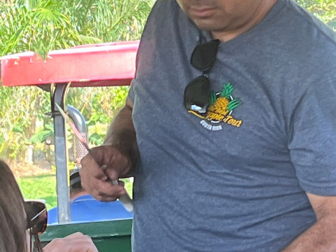 The Best Pineapple Tour Costa Rica-Rio Cuarto必去景点