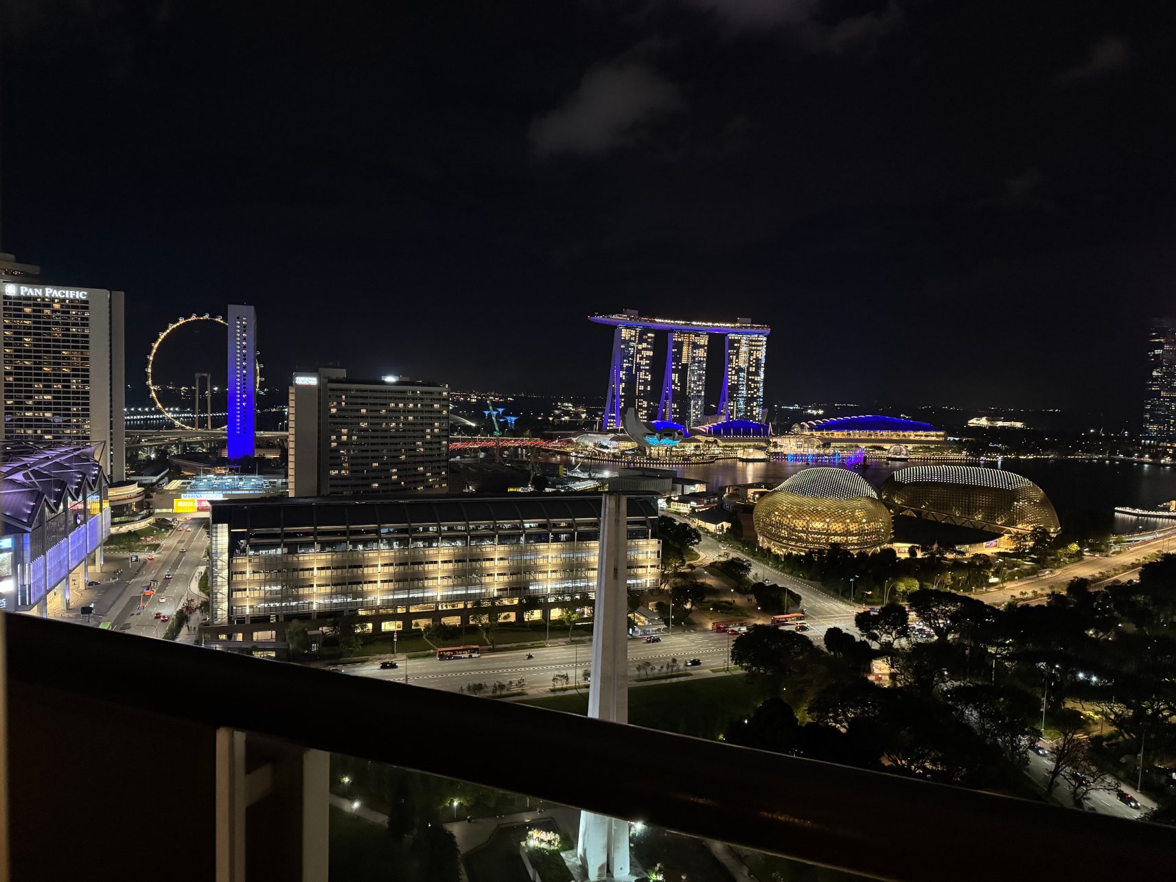 新加坡费尔蒙酒店-酒店景观