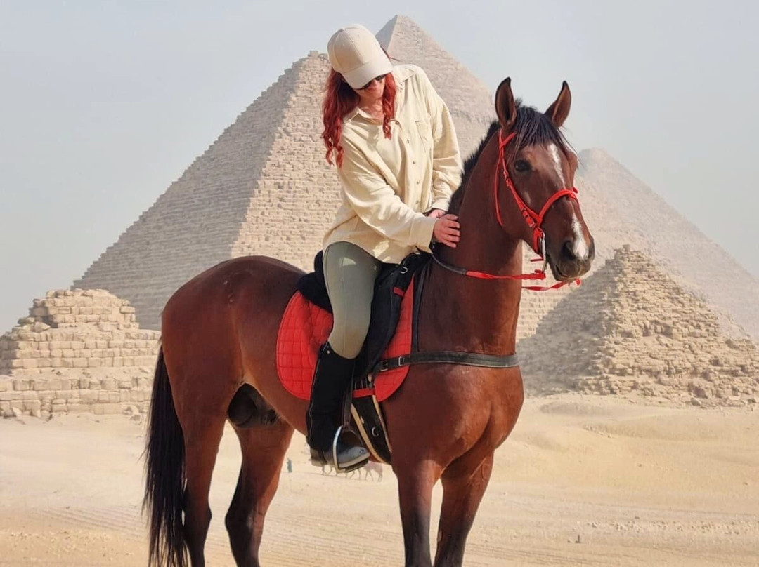 Tal3t Kheal - Horse Riding In Egypt-开罗必去景点