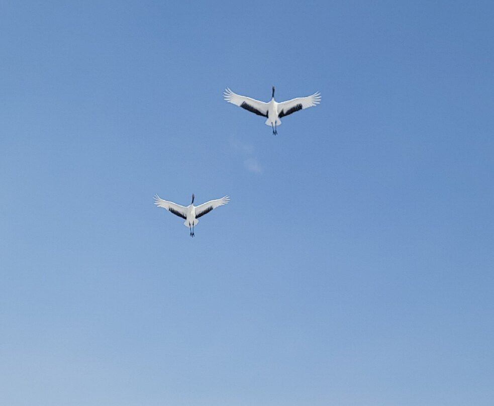 Akan International Crane Centre-钏路市必去景点