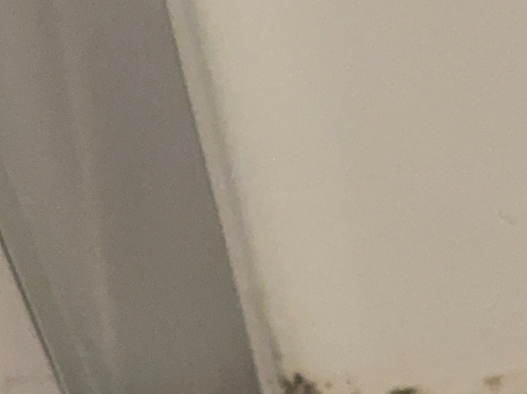 萨拉兰莫比尔希尔顿欢朋套房酒店主图