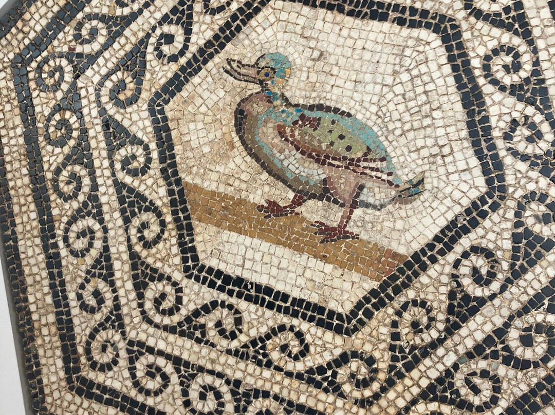 Musee Galo-Romain-Saint-Romain-en-Gal必去景点