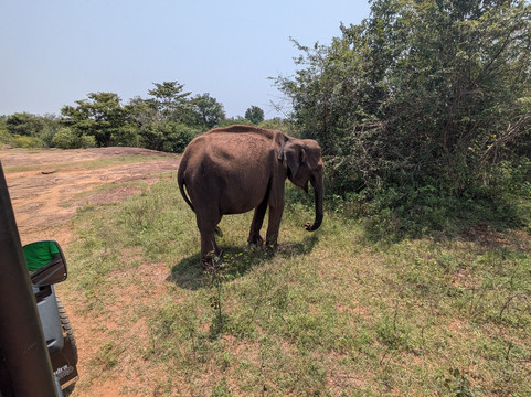 Travelers Choice To Ceylon-科伦坡必去景点