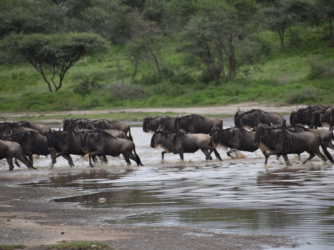Calabash Adventures-阿鲁沙必去景点