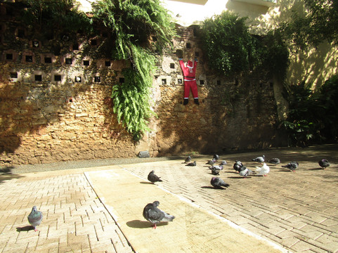 帕克达拉斯帕洛马斯-圣胡安必去景点