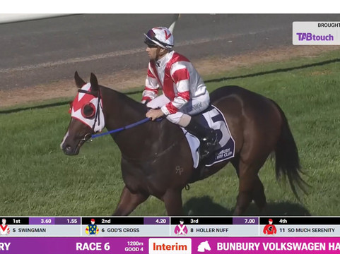 神户牛 铁板烧 先斗町 之市主图