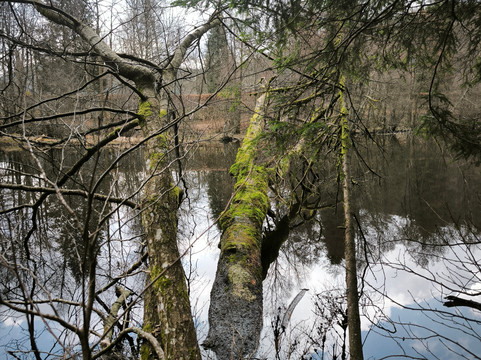 Lac de Longemer-Xonrupt-Longemer必去景点