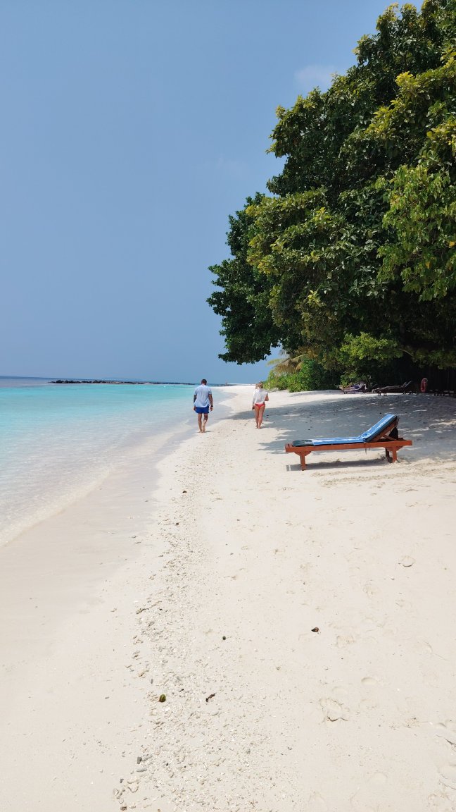 皇家岛度假村及水疗中心-官方