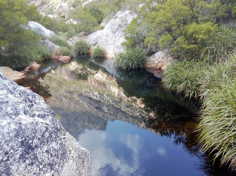 Steenbras River Gorge-高登湾必去景点