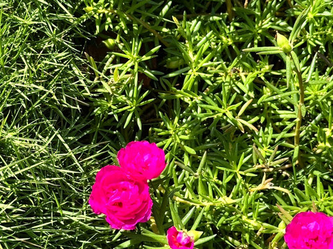 Posada Casa Riqui Riqui主图