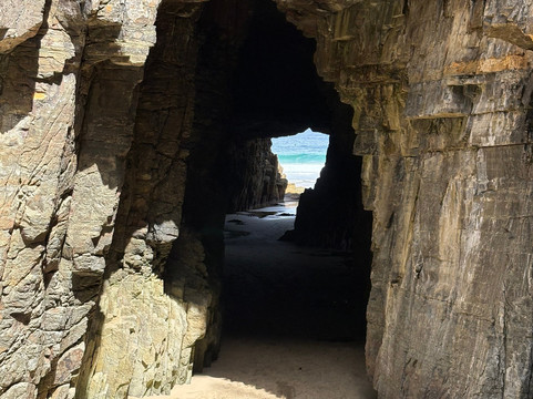 Let's Show You Tasmania - Day Tours-霍巴特必去景点