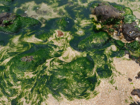 热带花园酒店主图