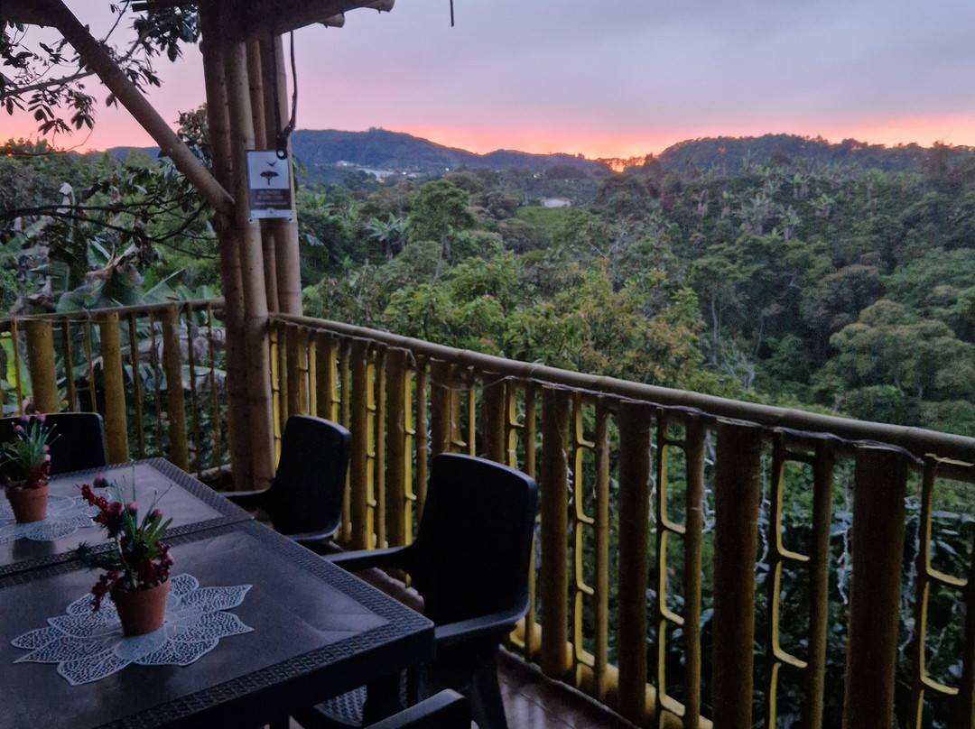 Ecoturismo La Nohelia-Jerico必去景点