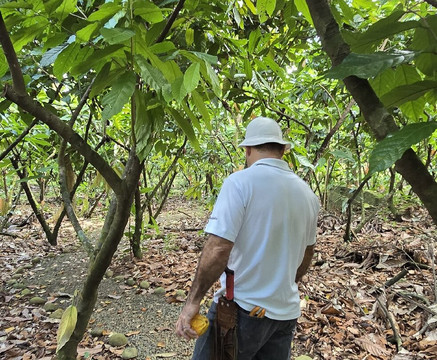Chocolate Sibaeli-San Rafael de Guatuso必去景点
