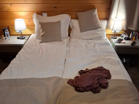 阿尔卑斯酒店主图