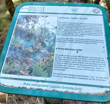 加拉霍埃国家公园-La Gomera必去景点