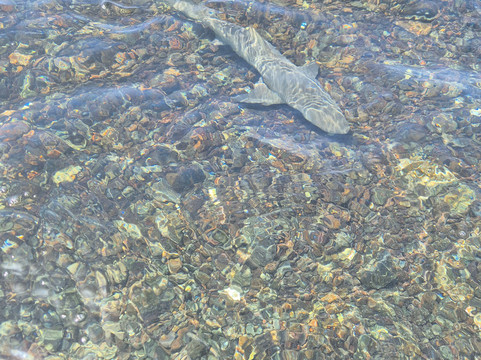 Explore Cape Verde-圣塔玛丽亚必去景点