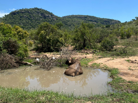 Endless Summer Tours-德班必去景点