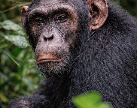 EverseenAfrica-霍德斯普鲁特必去景点