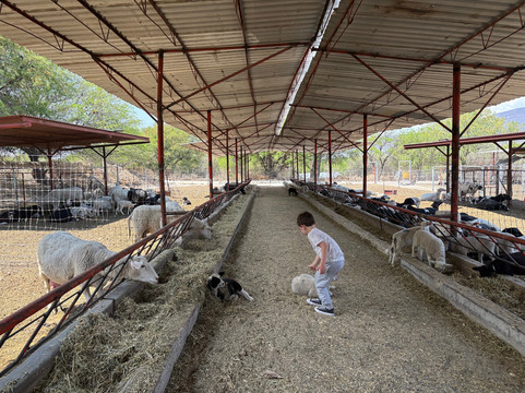 Rancho San Josemaría-克雷塔罗必去景点