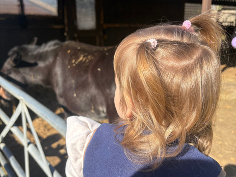 Thrift Farm-Whaddon必去景点