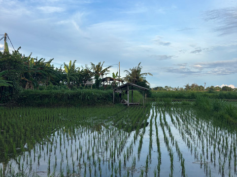 阿格拉帕纳海滩别墅主图