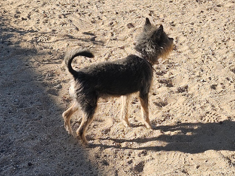 Mt. Solmar-卡波圣卢卡斯必去景点