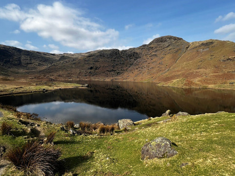 哈勃酒店的罗斯花园主图