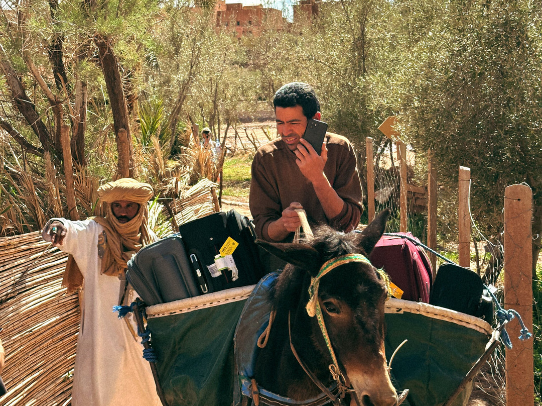 Travel Link Morocco-舍夫沙万必去景点
