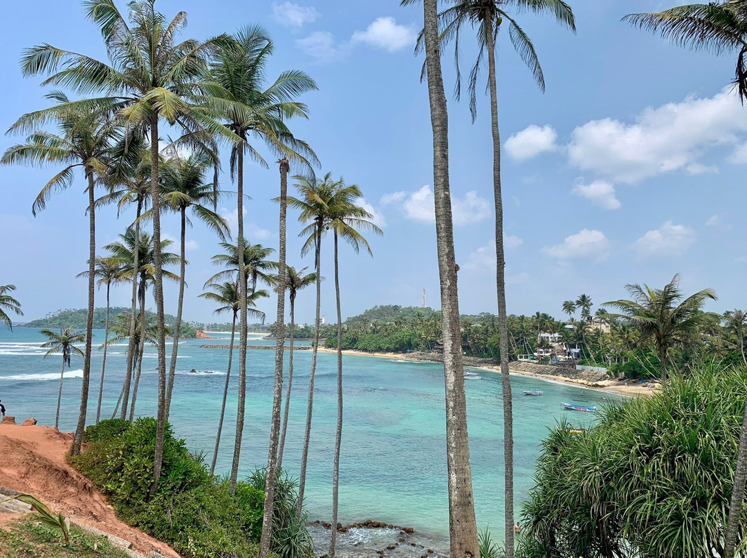 Coconut Tree Hill-美蕊沙必去景点