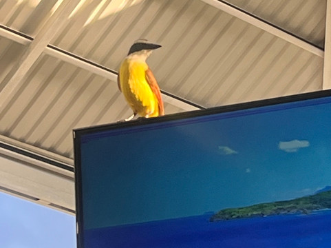 Top Travel Costa Rica-圣何塞必去景点