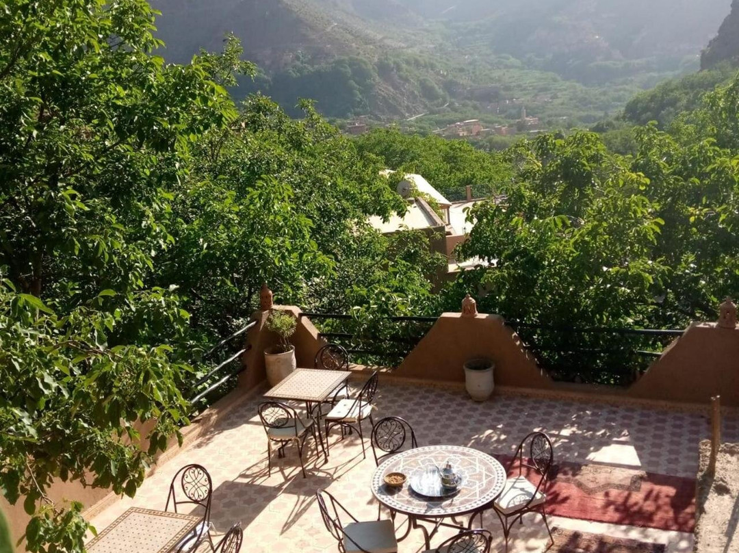 Atlas Garden