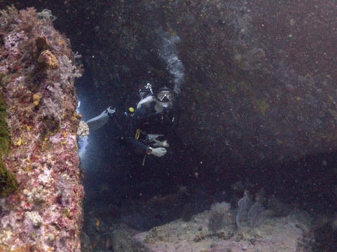 西海岸潜水员-查龙必去景点