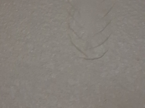 格雷厄姆贝斯特韦斯特优质酒店主图