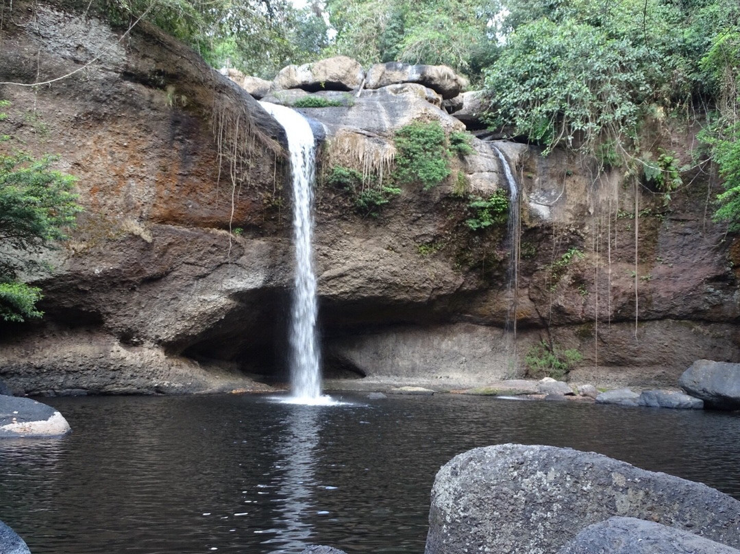 Bobby's Jungle Tours-北冲县必去景点